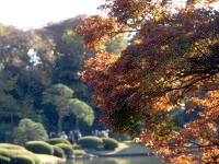 travel,japan,tokyo.tuorism,recommendation